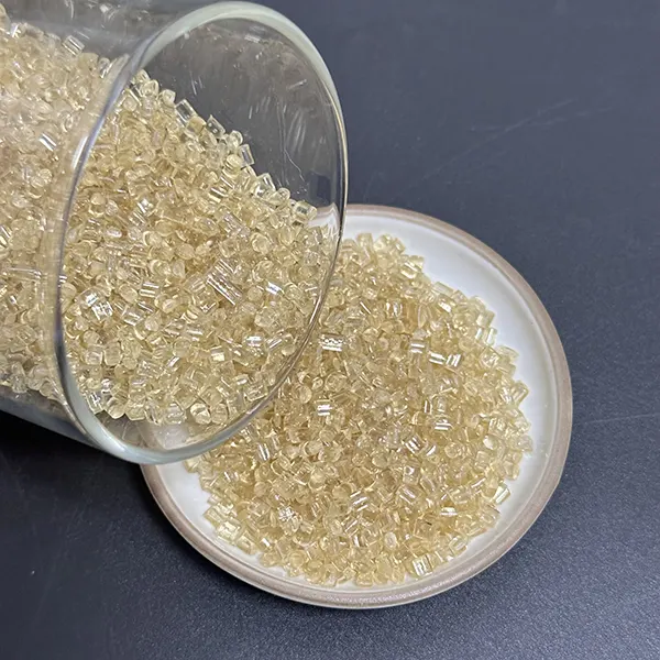 Zytel® 70G13HS1L NC010