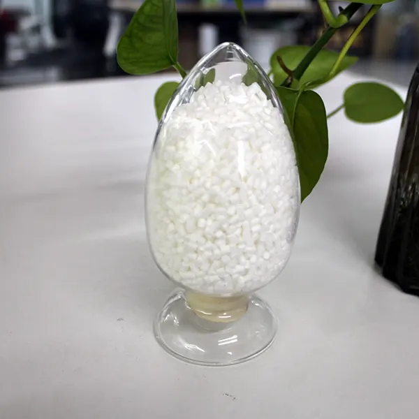 Zytel® 70G30L NC010